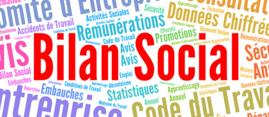 bilan social